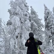 ���������� ������������, ���� ������� ������, 36 ���, ������������ ��� ������, ����� � ���������