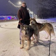 ���������� ������, ���� ����� ����, 21 ���, ������������ 