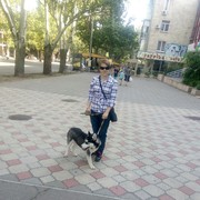 ,   , 33 ,     , c 