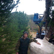  ,   , 42 ,     , c 