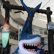 ���������� ������, ���� ������� �����, 56 ���, ������������ ��� ����� � ���������, c�������� ���������