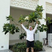 ���������� �����, ���� ������� �������, 46 ���, ������������ ��� ������, ����� � ���������