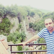  ,  Mustang, 42