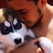 ���������� �������, ���� ������� ����, 27 ���, ������������ ��� ������, ����� � ���������