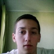  Gibbon,  , 31