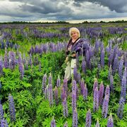 ���������� �����-���������, ���� ������� ��������, 55 ���, ������������ ��� ����� � ���������