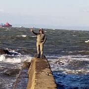 ���������� ����������, ���� ������� Manchini, 48 ���, ������������ ��� ������, ����� � ���������