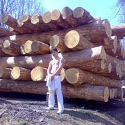  ,   Dima, 33 ,  