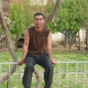  ,   , 44 ,  
