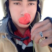  ,   , 31 ,   ,   , c , 