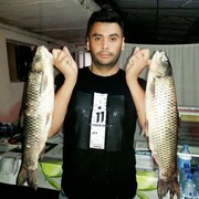 ���������� �������, ���� ������� �����, 39 ���, ������������ ��� ������, ����� � ���������, c�������� ���������