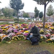 ���������� ���������, ���� ������� �����, 47 ���, ������������ ��� ����� � ���������, c�������� ���������