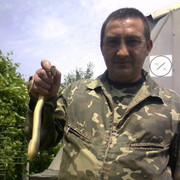  ,   , 54 ,   ,   , c 