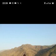 ���������� ������ ��������, ���� ������� ������, 38 ���, ������������ ��� ������, ����� � ���������