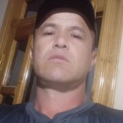  ,   , 41 ,   ,   