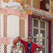 ���������� ������, ���� ������� ���������, 37 ���, ������������ ��� ������, ����� � ���������, c�������� ���������