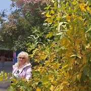  ,    , 62 ,   ,   , c , 