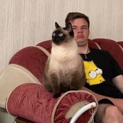 ���������� ������, ���� ������� ������, 28 ���, ������������ ��� ������, ����� � ���������