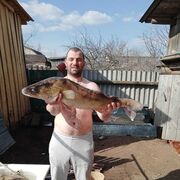 ���������� �������, ���� ������� ���������, 44 ����, ������������ ��� ������, ����� � ���������, c�������� ���������, ���������