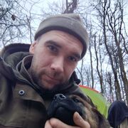 ���������� ���������, ������� ���������, 41