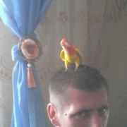  ,   , 49 ,   