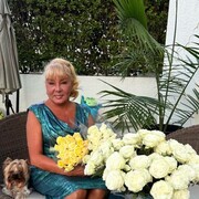  -,   , 62 ,   ,   , c , 