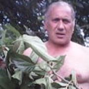  ,   GURAMI, 59 ,   ,   , c 