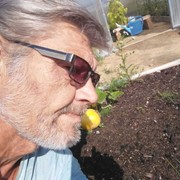 ���������� ����������, ������� �����, 59