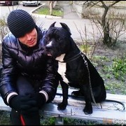 ���������� ����, ���� ������� �����, 35 ���, ������������ ��� ������