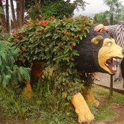  ,   , 54 ,   