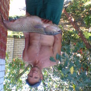  ,   , 60 ,   ,   , c 
