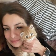 ���������� ����������, ���� ������� ����, 40 ���, ������������ ��� ������, ����� � ���������, c�������� ���������