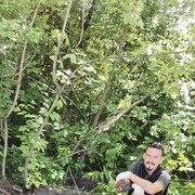  ,   , 34 ,   