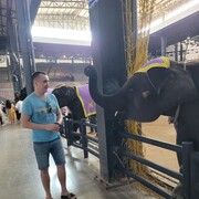 ���������� ������, ���� ������� ������, 45 ���, ������������ ��� c�������� ���������