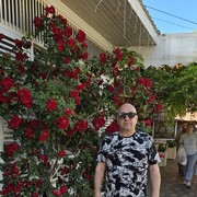  ,   , 55 ,   ,   