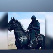 ���������� ����������, ���� ������� ���� ����, 34 ����, ������������ ��� ������, ����� � ���������