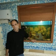 ���������� ���������, ���� ������� ���������, 48 ���, ������������ ��� ������, ����� � ���������