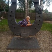  ,  , 60