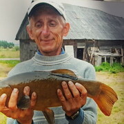  ,   Alius, 64 ,   ,   
