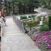 ���������� �����������, ���� ������� ������, 39 ���, ������������ ��� ������