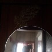 ���������� �����������, ���� ����� Basil, 25 ���, ������������ ��� ������, ����� � ���������