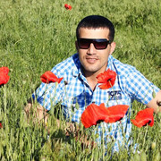 ���������� �����������, ���� ������� �����, 43 ����, ������������ ��� ������, ����� � ���������, c�������� ���������