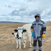 ���������� ������� ����, ���� ������� ������, 30 ���, ������������ ��� c�������� ���������