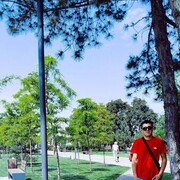  ,   , 29 ,   ,   