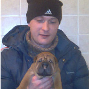 ���������� ������ ��������, ���� ������� ������, 41 ���, ������������ ��� ������