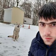  ,  Harut, 33