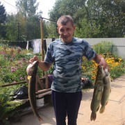 ���������� �������, ���� ������� ������, 48 ���, ������������ ��� ����� � ���������, c�������� ���������