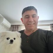  ,   , 46 ,   ,   