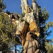 ���������� ����, ���� ������� Nikolay, 38 ���, ������������ ��� ������