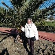 ���������� ���������, ���� ������� �����, 52 ����, ������������ ��� c�������� ���������